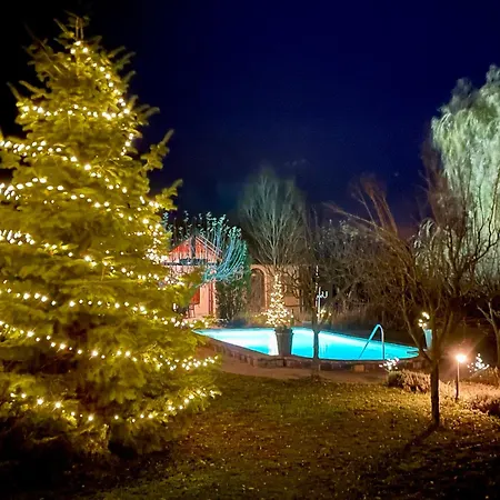 Patrimonium Wellness Apartament