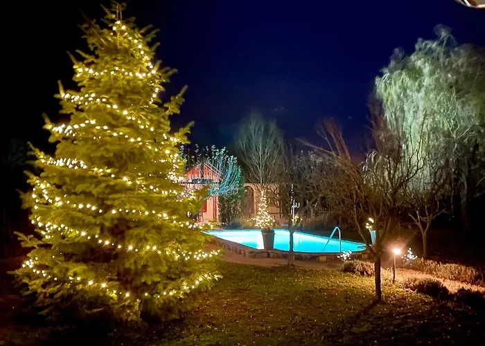 Patrimonium Wellness Apartament